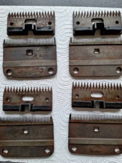 4 jeux de peignes A2 tondeuse Lister