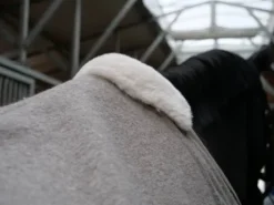 100% undyed natural sheep wool rug PURE by EQUITECT.