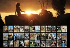 Abonnement illimité au magazine Planète Cheval au Naturel et Équitation Durable