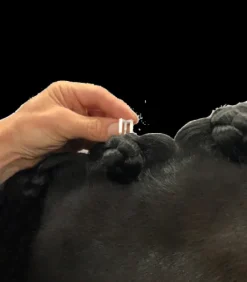 Accessoire de tressage Quick Knot Deluxe XL - Waldhausen - 35 éléments