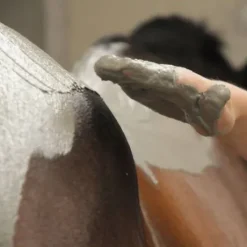 Algues Intenses Premium Seau 2,5 Kg Cavasso