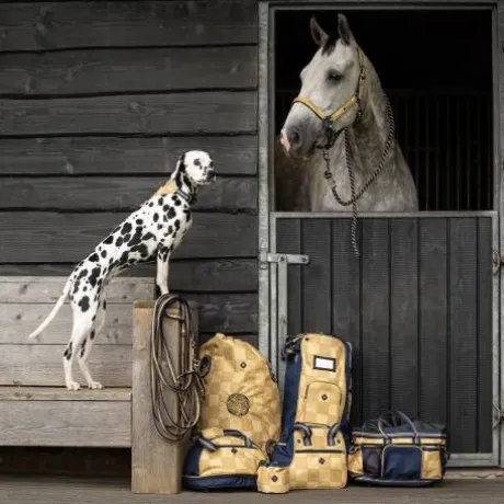 Alliance de longe SS25 - QHP - Boucleries en zinc