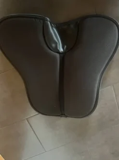 Amortisseur Absorb Kentucky