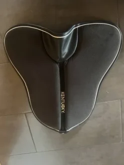 Amortisseur Absorb Kentucky