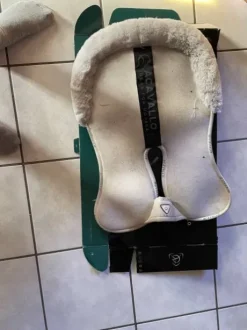 Amortisseur Acavallo