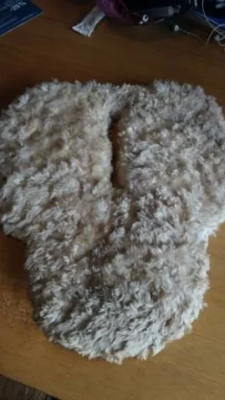 Amortisseur de dos avec trou, taille cheval