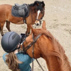 Amortisseur de dos ThinLine Trifecta avec cales - 95% d'absorption des chocs