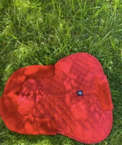 Amortisseur riding world