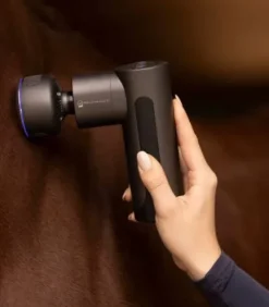 Appareil de massage Waldhausen