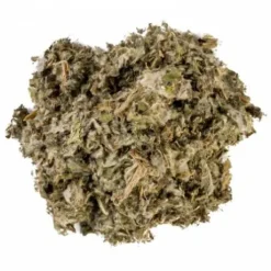 Artichaut - Horse Remedy