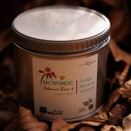 Bactifongic Onguent Bio Echinacée Force 4 Michel Vaillant