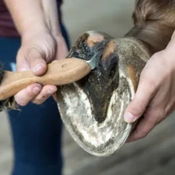 Bactifongic Pâte Fibrée Bio Argile Verte Force 4 Michel Vaillant