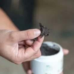 Bactifongic Pâte Fibrée Bio Argile Verte Force 4 Michel Vaillant