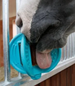 Balle 3 en 1 Bizzy Ball - Bizzy Horse