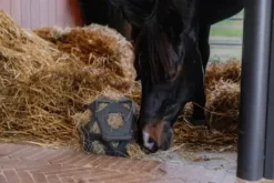 Balle à foin - Kentucky