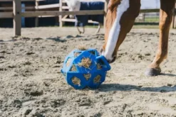 Balle à foin - Kentucky