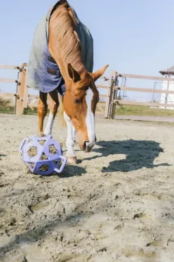 Balle à foin - Kentucky