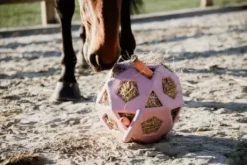 Balle à foin - Kentucky