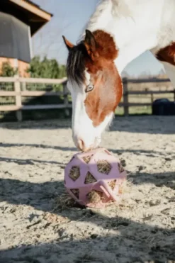 Balle à foin - Kentucky