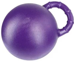 Balle à jouer chevaux