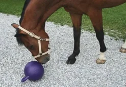 Balle à jouer chevaux