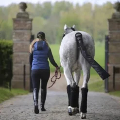 Bande de repos - Kentucky