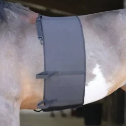 Bande de respect Norton