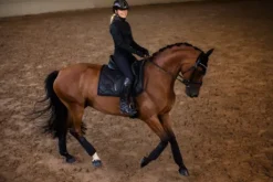 Bandes de polo All Black Glimmer - Equestrian Stockholm