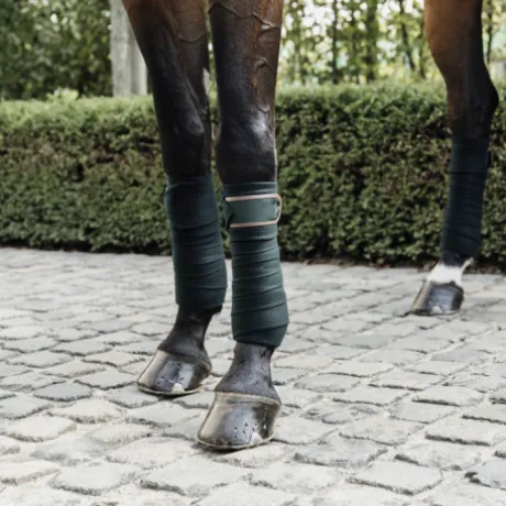 Bandes de polo avec bord cuir - Kentucky