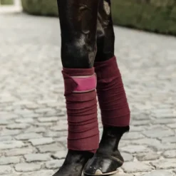 Bandes de polo avec bord cuir - Kentucky