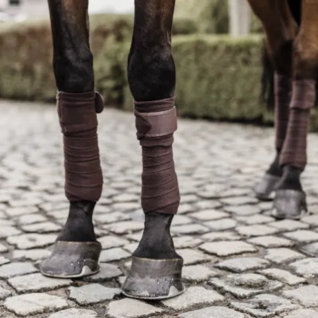 Bandes de polo avec bord cuir - Kentucky