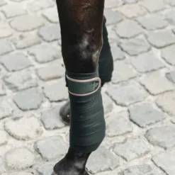 Bandes de polo avec bord cuir - Kentucky