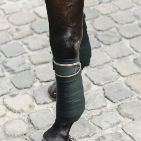 Bandes de polo avec bord cuir - Kentucky