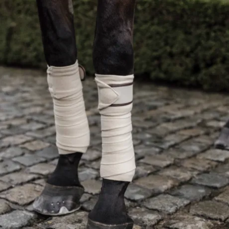 Bandes de polo avec bord cuir - Kentucky