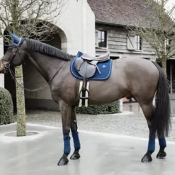 Bandes de polo Basic Velvet  - Kentucky