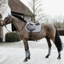 Bandes de polo Basic Velvet  - Kentucky