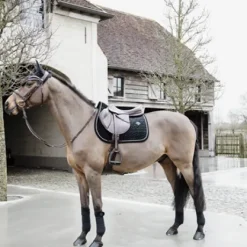 Bandes de polo Basic Velvet  - Kentucky