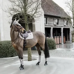 Bandes de polo Basic Velvet  - Kentucky