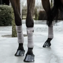 Bandes de polo Basic Velvet  - Kentucky