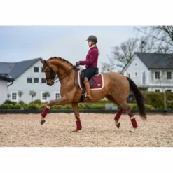 Bandes de polo BE TEMPTED Cherry Milkshake - SD Design