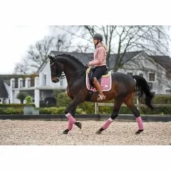 Bandes de polo BE TEMPTED Candyfloss - SD Design