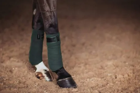 Bandes de polo Equestrian Stockholm - Deep Olivine