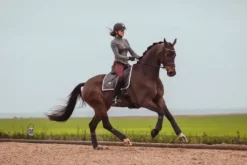 Bandes de polo Silver Cloud - Equestrian Stockholm