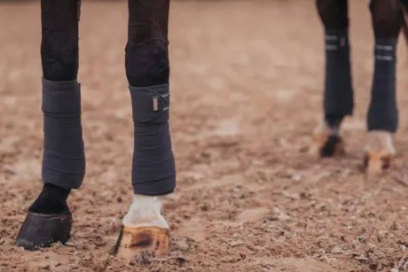 Bandes de polo Silver Cloud - Equestrian Stockholm