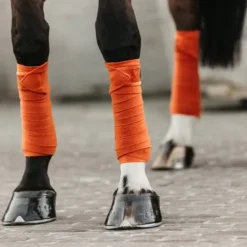 Bandes polaires velvet orange - Kentucky - 280 g/m²