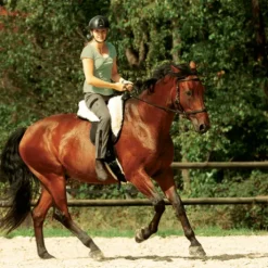 Barefoot RIDE ON physio – SUPPORT Nature