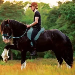 Barefoot RIDE ON physio : trois couleurs au choix