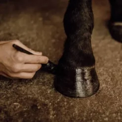 Baume pour sabots Hiver - Nellumbo