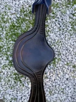 Bavette Bruno Delgrange