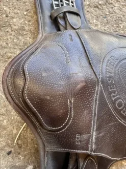 Bavette courte Forestier